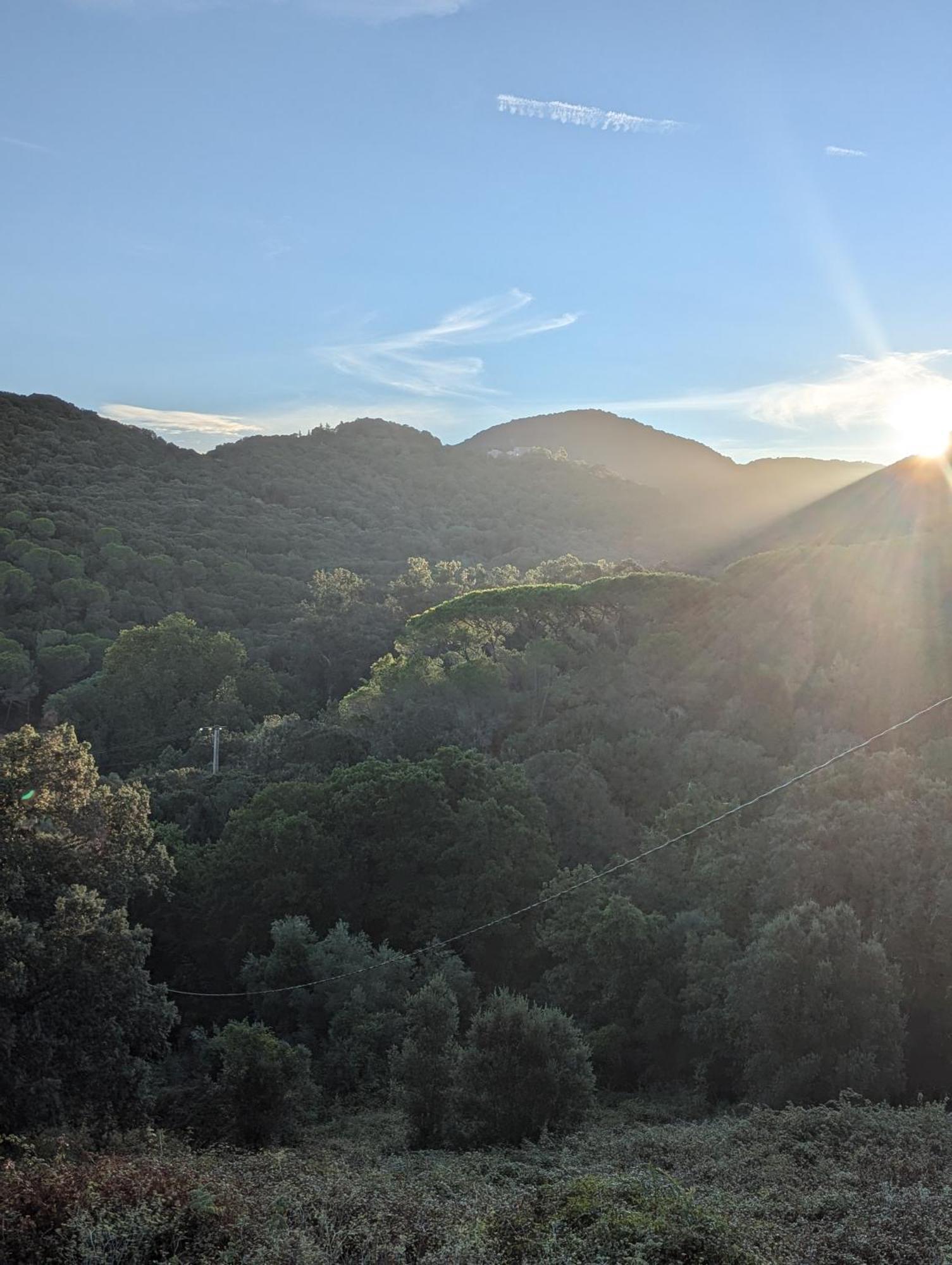Au Coeur Du Maquis Sartenais Homestay Granace