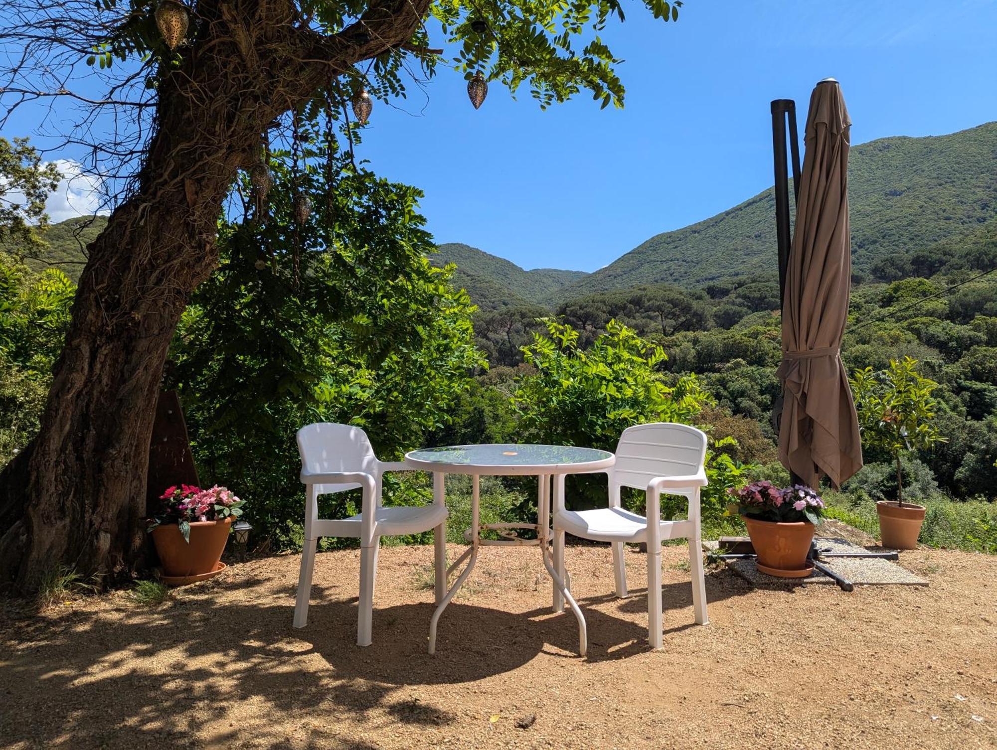 Homestay Au Coeur Du Maquis Sartenais